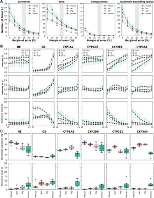 Cross-species variability in lobular geometry and cytochrome P450 hepatic zonation: insights into CYP1A2, CYP2D6, CYP2E1 and CYP3A4